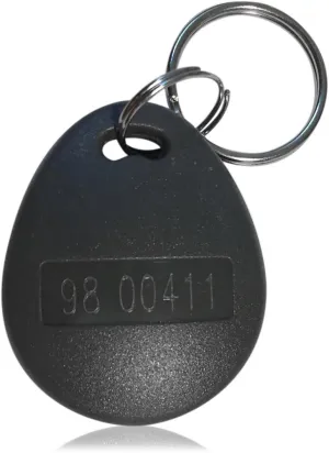 100 pcs 26 Bit Proximity Key Fobs, Weigand Prox Keyfobs, Compatible with ISOProx 1386 1326 H10301 Format Readers, Grey, Neutral
