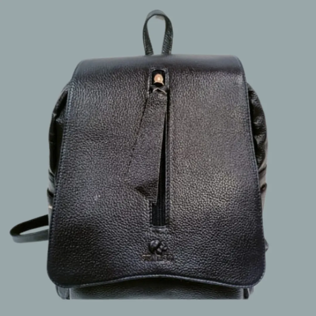 Starco Genuine leather Backpack-2