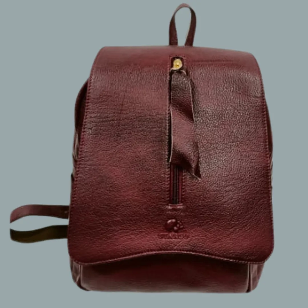 Starco Genuine leather Backpack-2