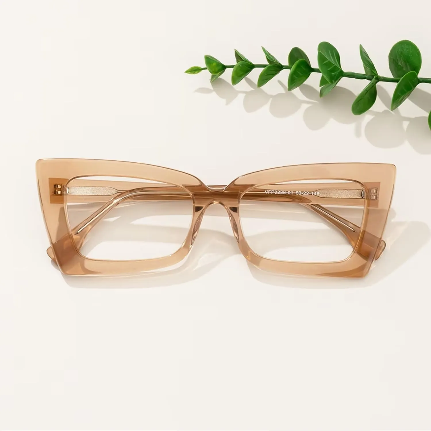 Zeelool Retro Thick Blue Light Blocking Glasses, Acetate Rectangle Glasses Frame for Women Newell VFP0236